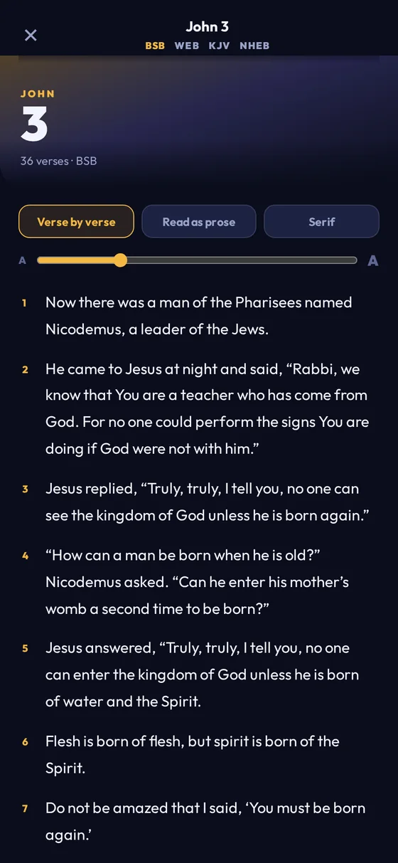 John chapter 3 in the KingLio Bible reader